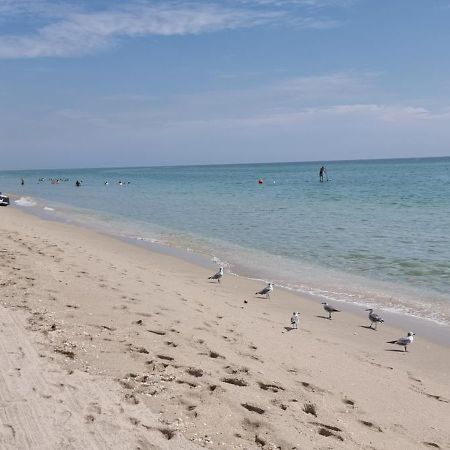 New Luxury Apartment 2Br 2Ba Direct Beach Access Hollywood Kültér fotó